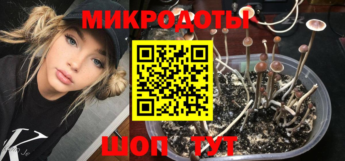 Галлюциногенные грибы MAGIC MUSHROOMS Тында