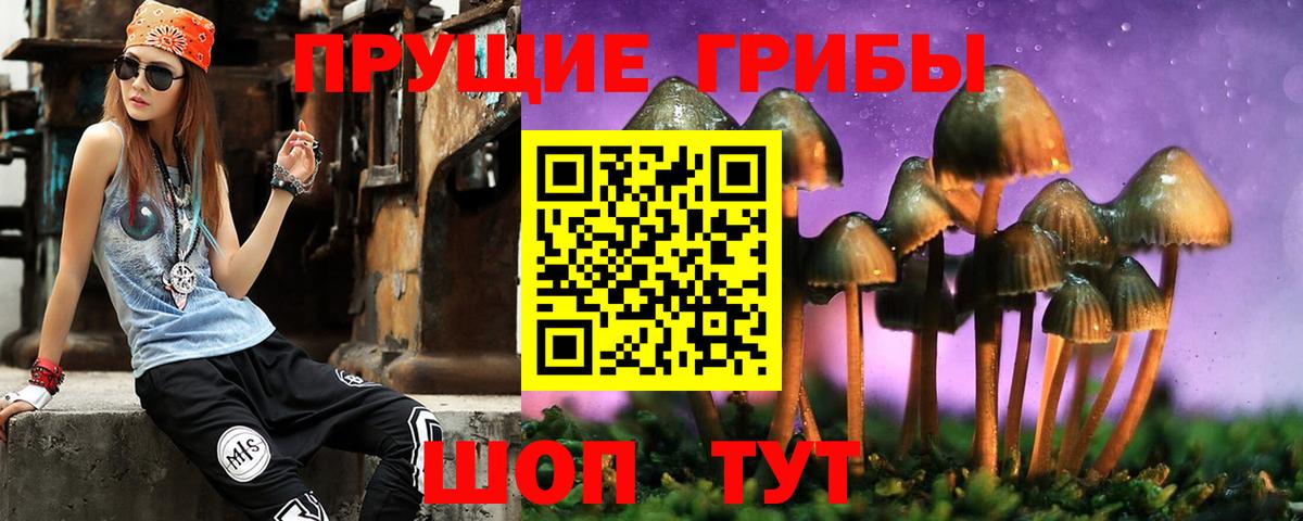 Псилоцибиновые грибы мухоморы  Вход с VPN  Галлюциногенные грибы Cubensis  Тында 